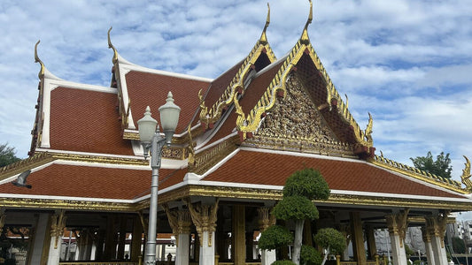 Reflections from International Civil Society Week 2025: Strengthening Democracy, Solidarity, and Global Leadership